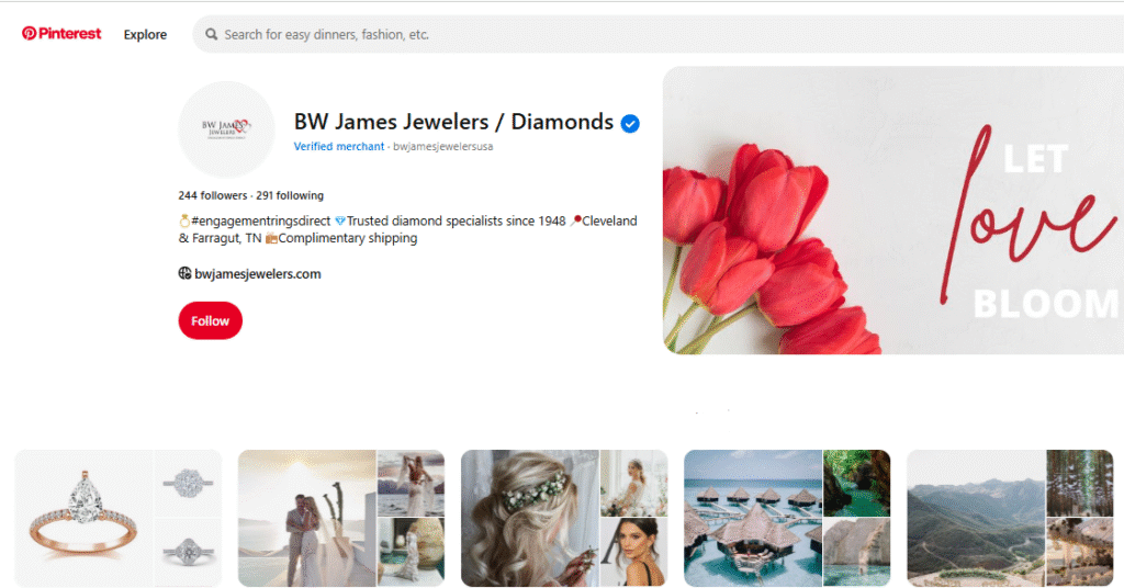 BW James Jewelers Pinterest Profile