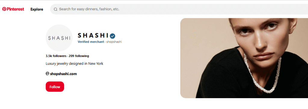 Shashi Jewelry Pinterest Profile